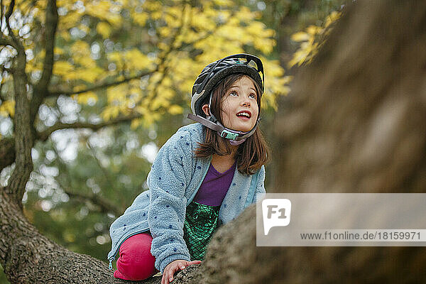 Ein kleines Mädchen mit Fahrradhelm klettert im Herbst auf einen großen Baum