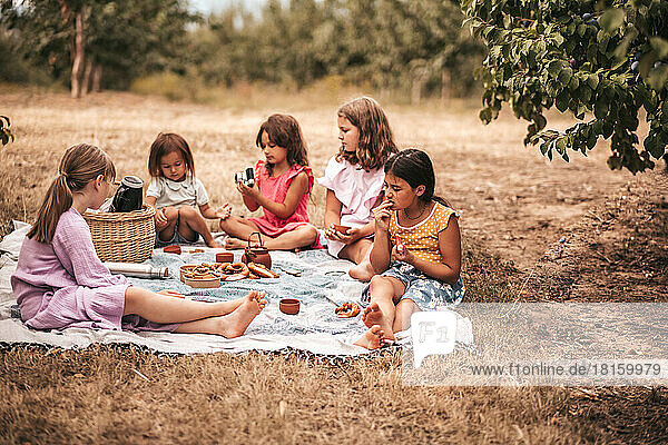 Children make a picnic in nature outdoor recreation