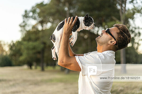 Hübscher junger Mann hält eine französische Bulldogge hoch