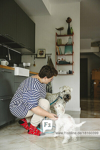 Woman stroking dogs in kitchen at home