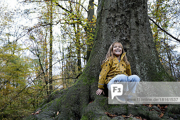 Happy girl couching on tree trunk in forest
