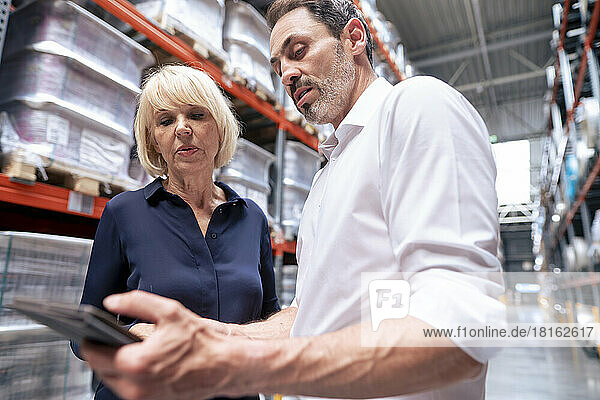 Mature businessman sharing tablet PC with senior businesswoman in industry