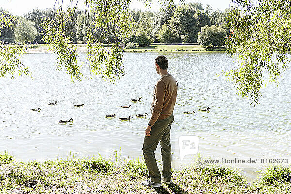 Man looking at ducks swimming in lake