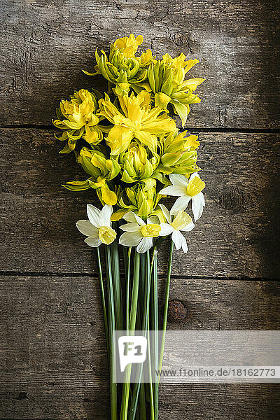 Blooming daffodils lying on wooden table