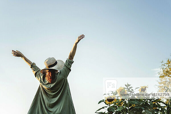 Reife Frau mit erhobenen Armen im Sonnenblumengarten