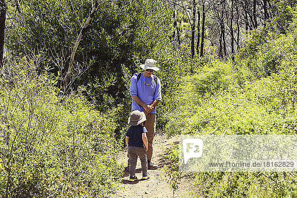 Grandfather wearing sunhat looking at grandson on walkway in forest