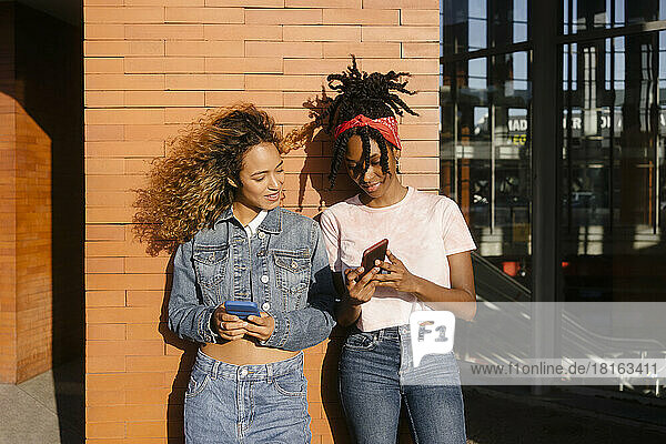 Young woman sharing smart phone with friend on sunny day