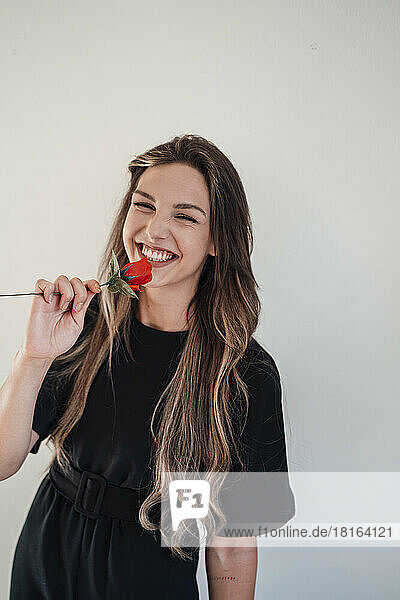 Cheerful young woman having fun with red rose against white background