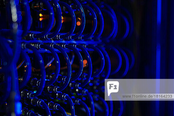 Computer cables by blue neon light in server room