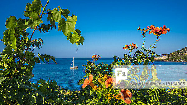 Fresh flowers in front of sailboat on sea