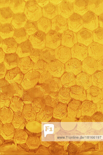 Full frame close-up of honeycomb