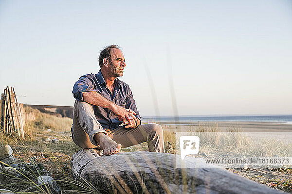 Thoughtful mature man sitting on log at sunset