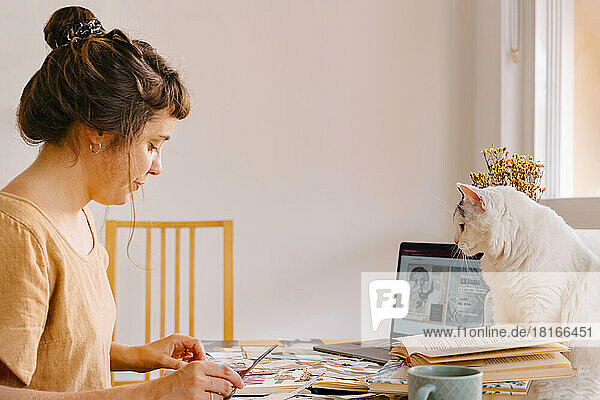 Cat looking at graphic designer working on desk in home