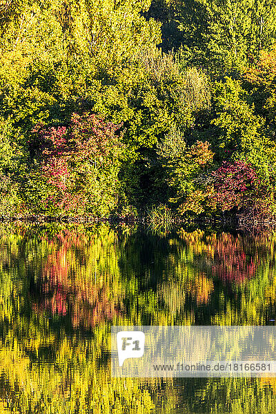 Autumn trees reflecting in Badesee Erlabrunn lake