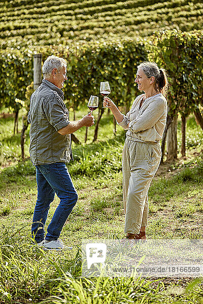 Smiling man and woman toasting wineglasses in vineyard