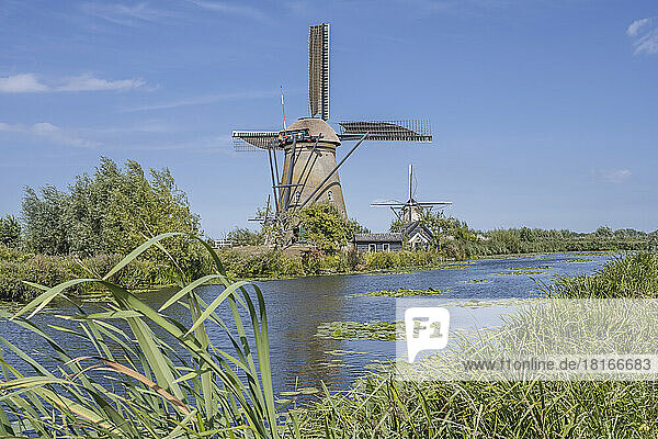 Netherlands  South Holland  Kinderdijk  Countryside river with historic windmills in background