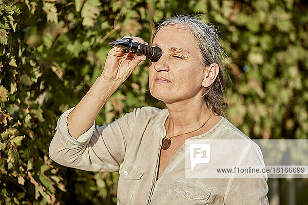Mature farmer looking through refractometer on sunny day