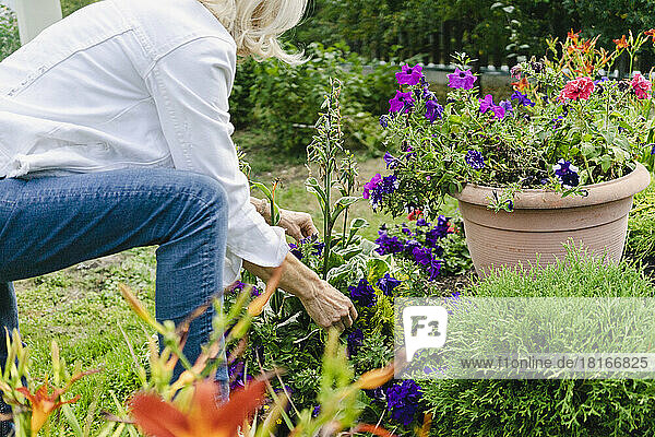 Ältere Frau kümmert sich um Pflanzen im Garten
