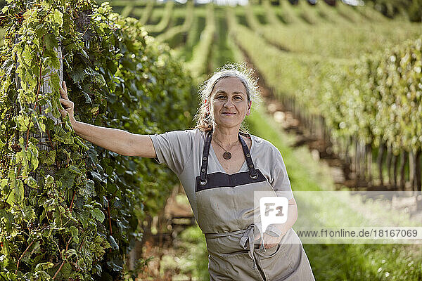 Lächelnder Bauer mit der Hand in der Tasche neben der Weinrebe am Weinberg