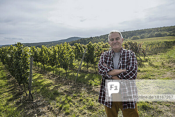 Confident senior farmer with arms crossed in vineyard