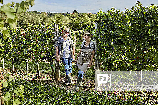 Smiling mature farmers wearing straw hats standing in vineyard