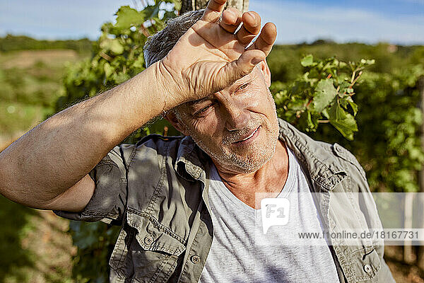 Tired mature farmer rubbing forehead in vineyard on sunny day