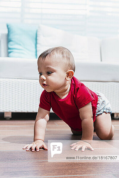 Cute baby boy crawling on floor in living room at home