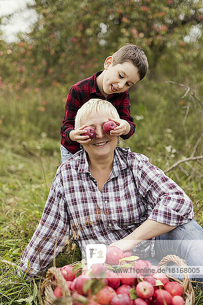 Verspielter Junge hält Äpfel über die Augen seiner Großmutter auf dem Bauernhof