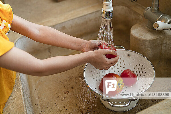 Hände eines Mädchens  das frische Tomaten in der Küchenspüle wäscht
