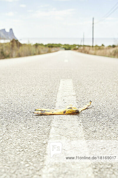 Bananenschale auf der Straße