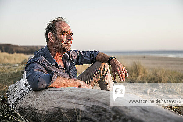 Mature man leaning on log enjoying sunset