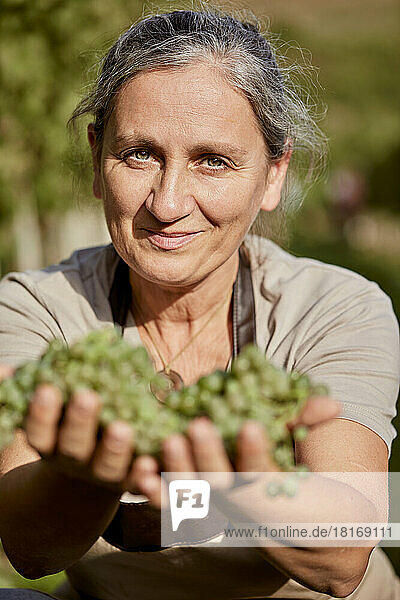 Smiling mature farmer with hands cupped giving grapes on sunny day