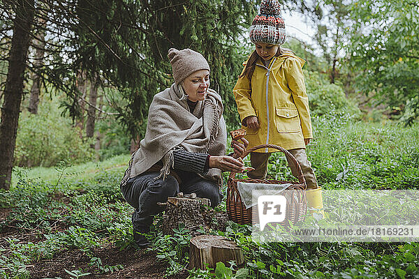 Mature woman with granddaughter picking up mushrooms in forest