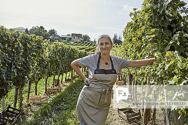 Smiling mature farmer standing with hand on hip in vineyard