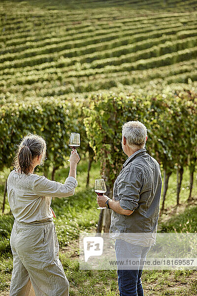 Älteres Paar hält Weingläser vor dem Weinberg