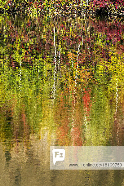 Autumn trees reflecting in Badesee Erlabrunn lake