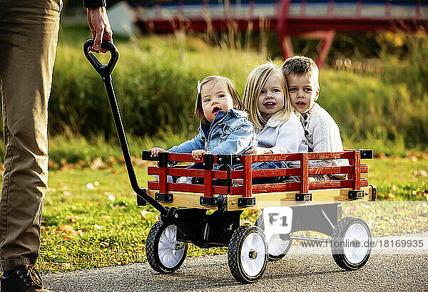Ein Vater zieht seine kleinen Kinder in einem Wagen in einem Stadtpark während der Herbstsaison; sein kleines Mädchen hat das Down-Syndrom; St. Albert  Alberta  Kanada