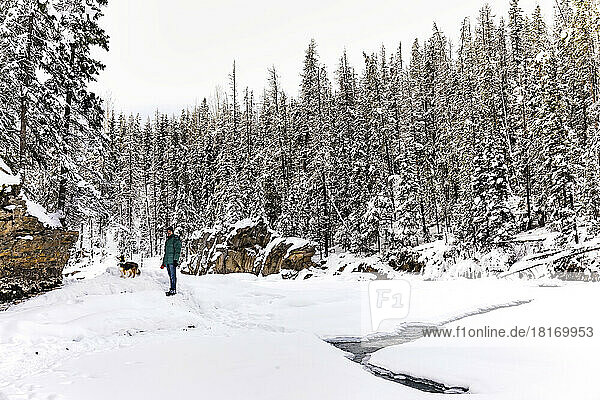 Mature man with his dog exploring the Kicking Horse River during winter near the Natural Bridge in Yoho National Park; British Columbia  Canada