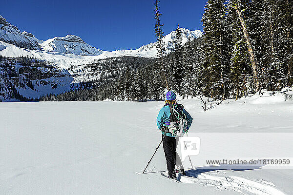 Female snowshoeing and breaking a trail on an untouched snow-covered lake with snow-covered Rocky Mountains in Banff National Park; Lake Louise,  Alberta,  Canada
