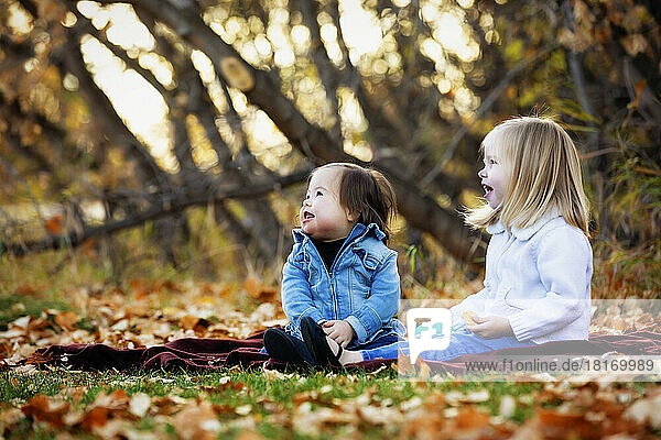 Zwei junge Schwestern  eine mit Down-Syndrom  spielen zusammen in einem Stadtpark während der Herbstsaison; St. Albert  Alberta  Kanada