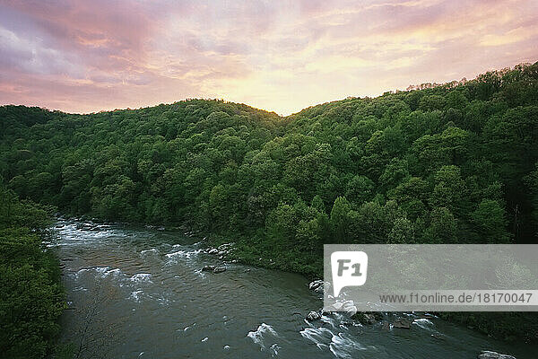 Youghiogheny River flowing through a forest in Ohiopyle State Park at twilight  Maryland  USA; Frostburg  Maryland  United States of America