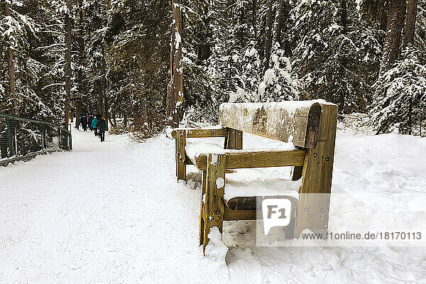 Snow-covered hiking trail and bench at Johnston Canyon during winter in Banff National Park; Alberta  Canada