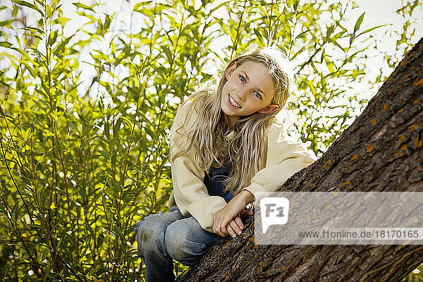 Young girl playing on a tree limb and posing for a picture in a city park on a warm fall afternoon; St. Albert  Alberta  Canada
