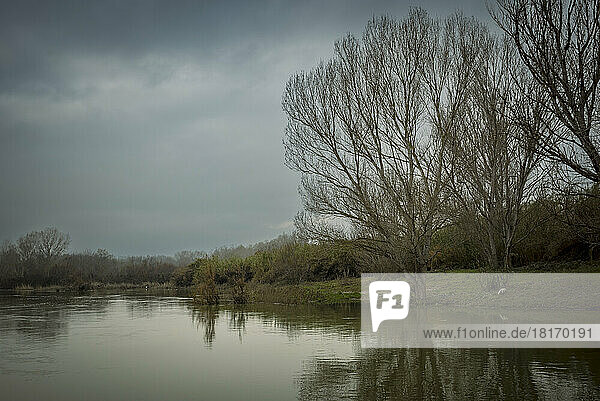 Shoreline reflections in a tranquil river scene  Ebro River  Spain; Benissanet  Tarragona  Spain