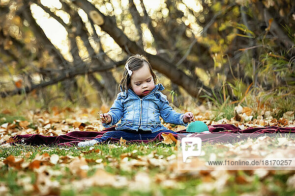 Portrait of a baby girl with Down Syndrome  sitting on the ground among the fallen leaves in a city park during the fall season; St. Albert  Alberta  Canada