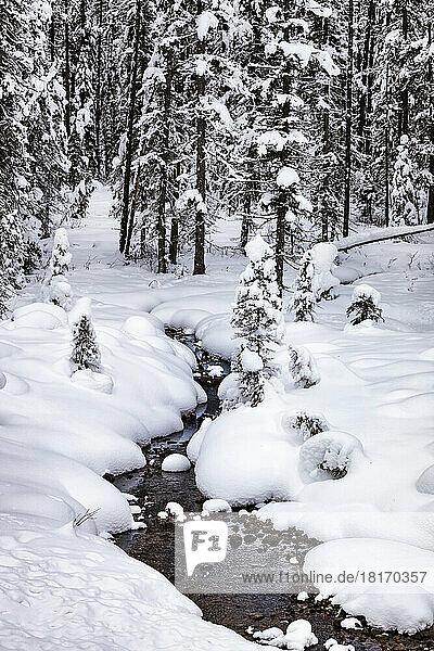 Partially frozen stream in Banff National Park during the winter; Banff, Alberta, Canada