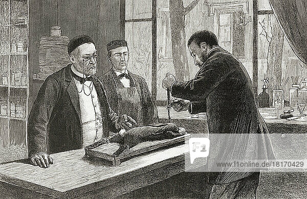 Mitarbeiter von Louis Pasteur (links) führen unter seiner Anleitung ein Experiment an einem chloroformierten Kaninchen durch. Louis Pasteur  1822 - 1895. Französischer Chemiker und Mikrobiologe  der u. a. die Pasteurisierung und das Prinzip der Impfung entdeckte. Er war auch ein früher moderner Vertreter der Keimtheorie von Krankheiten.