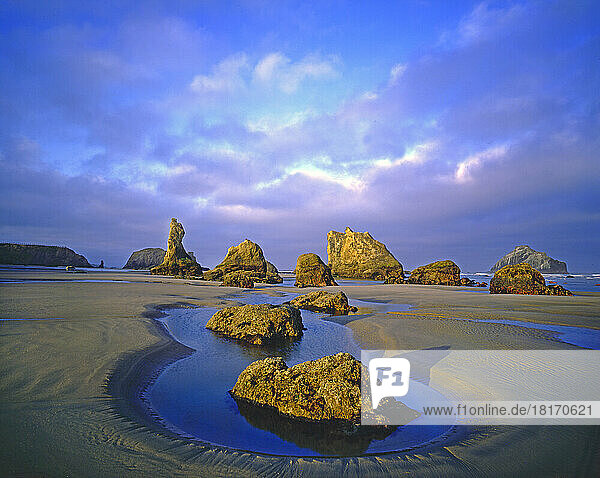 Rugged rock formations along the shoreline with tide pools at Bandon State Natural Area on the Oregon coast; Bandon  Oregon  United States of America