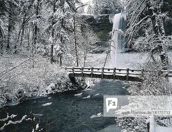 Verschneiter Steg und Wasserfall im Silver Falls State Park im Winter; Oregon,  Vereinigte Staaten von Amerika