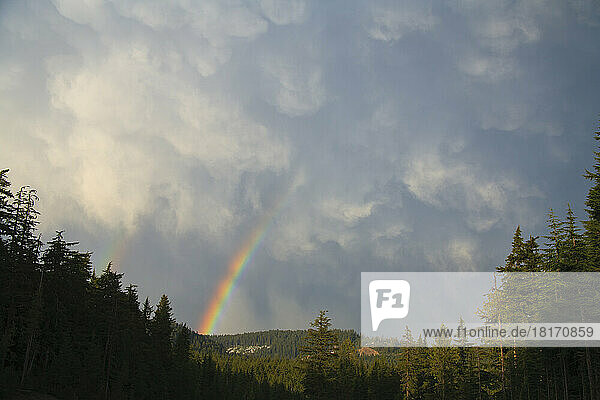 Regenbogen über den Bäumen am Mount Hood in den Oregon Cascades; Oregon  Vereinigte Staaten von Amerika